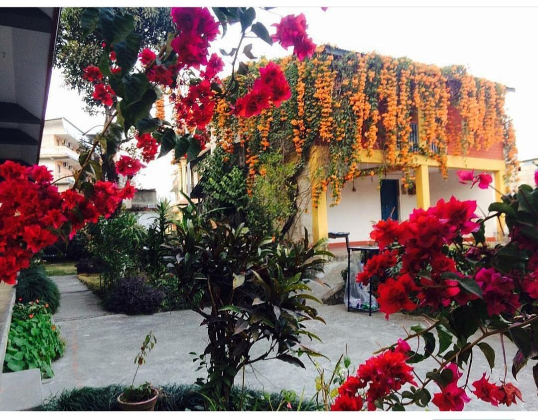 Hotel Mountain View - Lakeside Pokhara Dış mekan fotoğraf